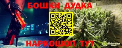 спиды Лесосибирск
